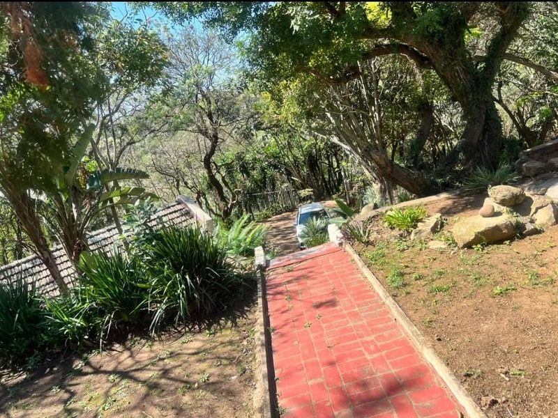 A sloped garden area featuring a red paved walkway, mature trees, and natural landscaping leading down towards the property entrance.