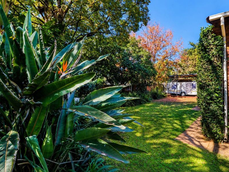 A lush, well-maintained garden featuring mature trees, established greenery, and a brick-paved pathway leading through the backyard.