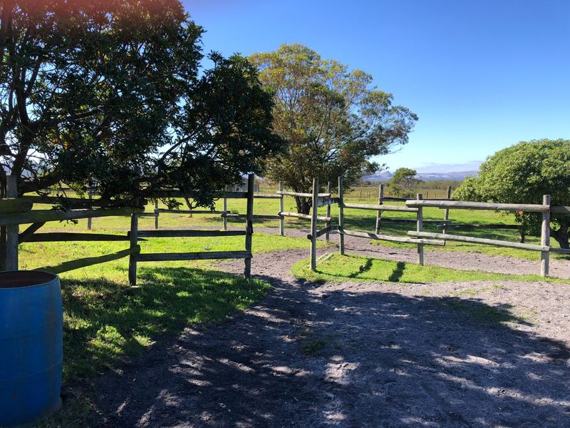 A view of the farm grounds featuring established trees and timber post and rail fencing enclosing a paddock area.