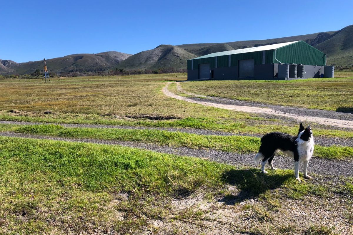 A wide-angle view of a farm property featuring a large metal shed, water storage tanks, a windmill, and a gravel driveway set against mountain scenery.