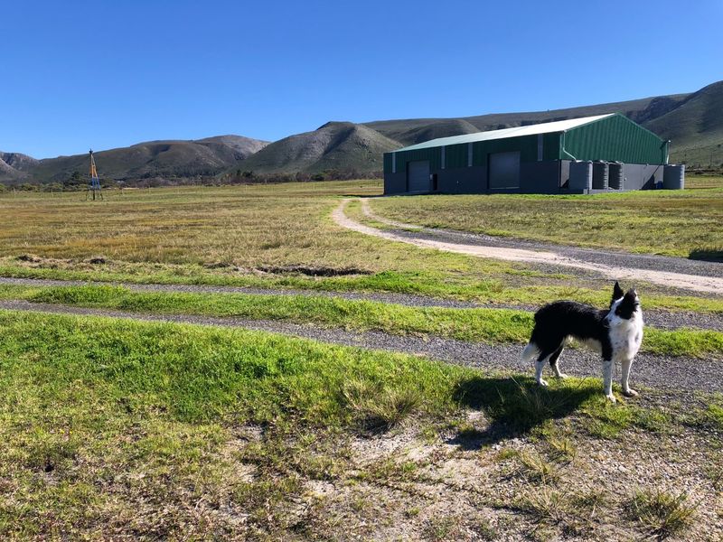 A wide-angle view of a farm property featuring a large metal shed, water storage tanks, a windmill, and a gravel driveway set against mountain scenery.