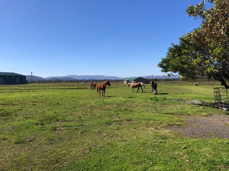 Expansive farm landscape featuring open grazing pastures, perimeter wire fencing, and distant outbuildings under a clear blue sky.