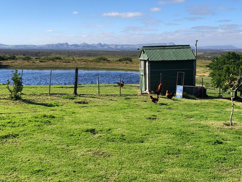A rural farm setting featuring a small corrugated metal shed, wire fencing, and a dam overlooking a scenic mountain landscape.