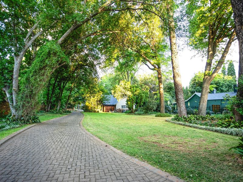 A lush, well-maintained garden featuring a paved driveway winding through mature trees and expansive green lawns.