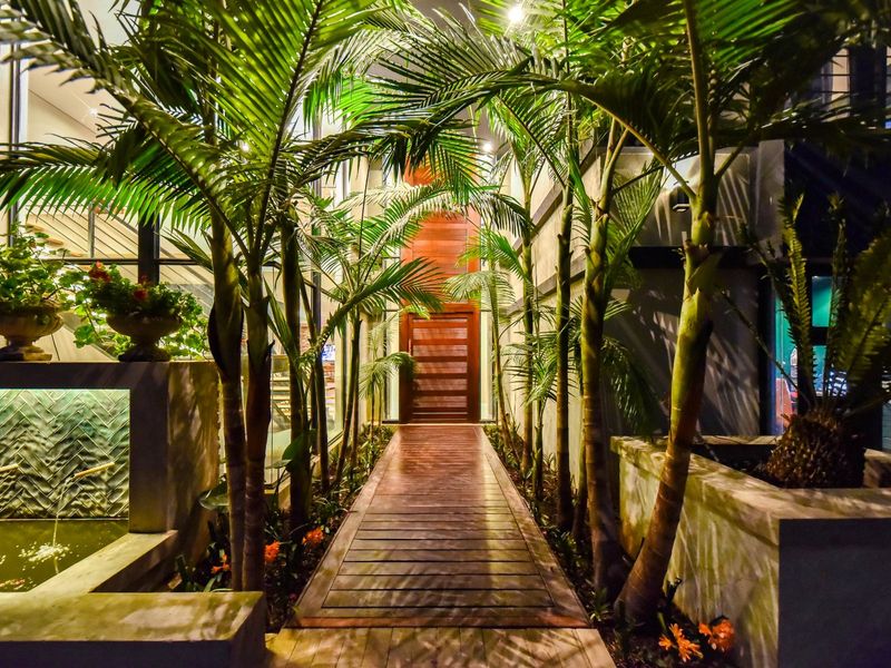 A striking, illuminated entrance featuring a timber walkway flanked by mature palm trees and a modern water feature leading to a solid timber door.