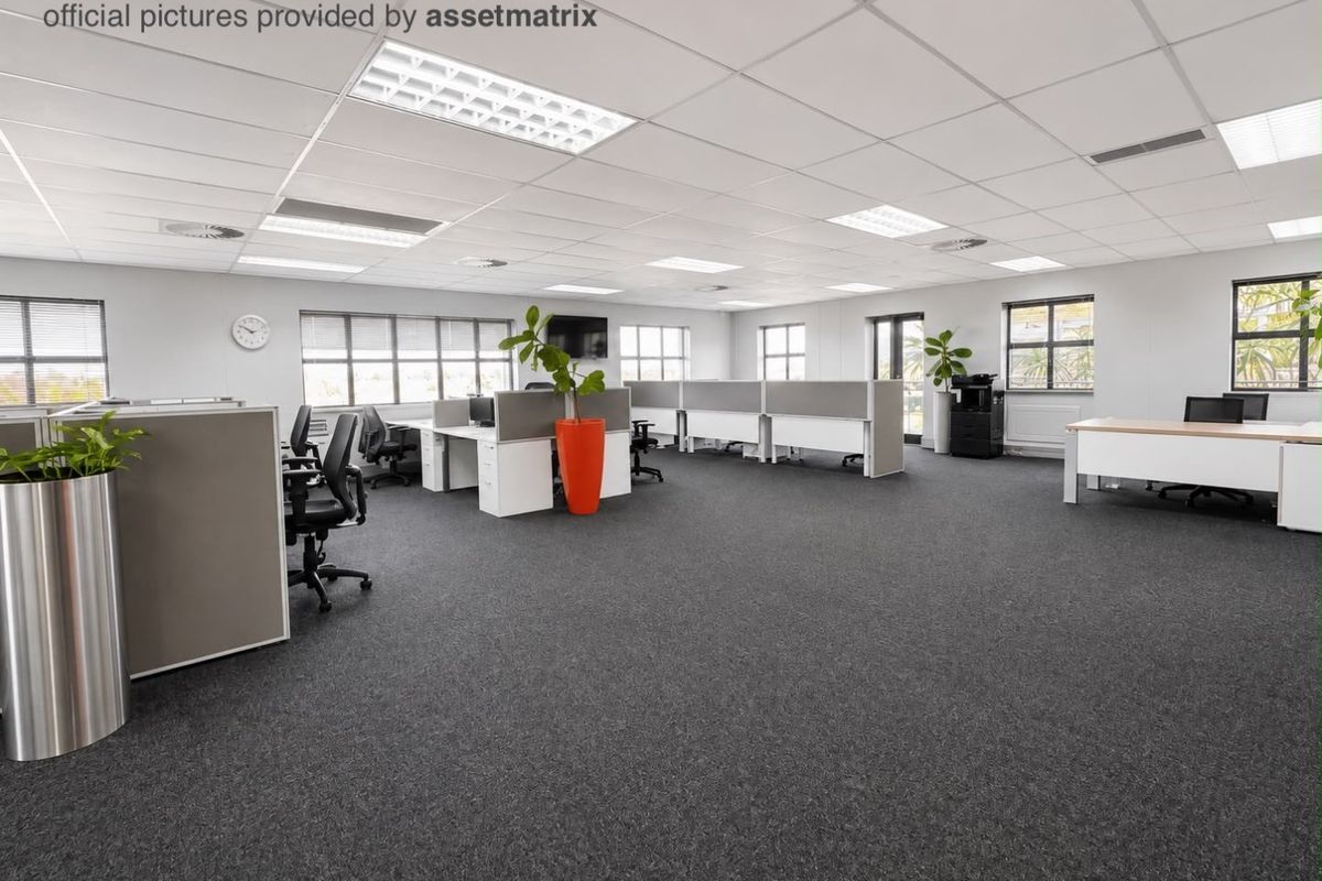 Spacious open-plan commercial office featuring neutral grey carpeting, suspended ceilings with recessed lighting, and multiple windows providing ample natural light.