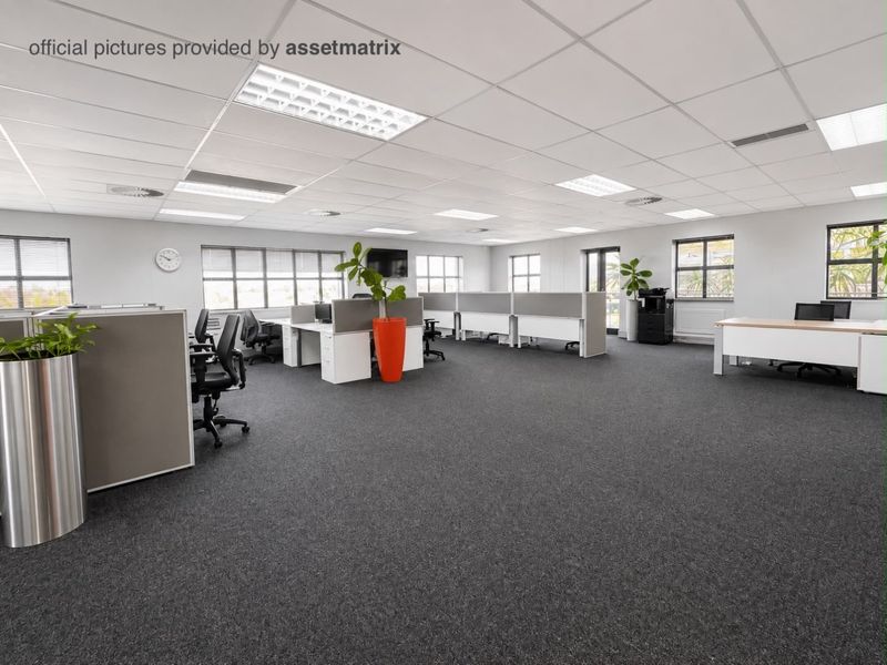 Spacious open-plan commercial office featuring neutral grey carpeting, suspended ceilings with recessed lighting, and multiple windows providing ample natural light.