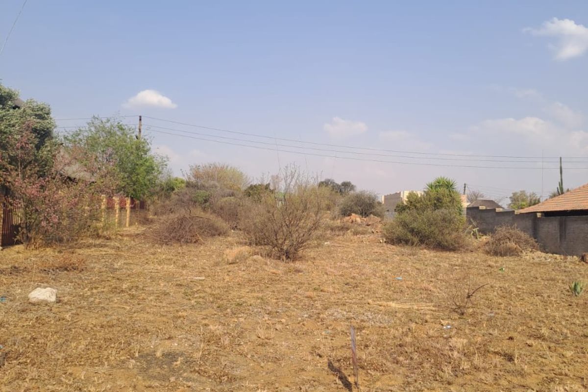 A vacant residential plot featuring dry vegetation, boundary walling, and overhead power lines, offering a clear space for future development.