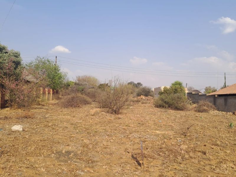 A vacant residential plot featuring dry vegetation, boundary walling, and overhead power lines, offering a clear space for future development.