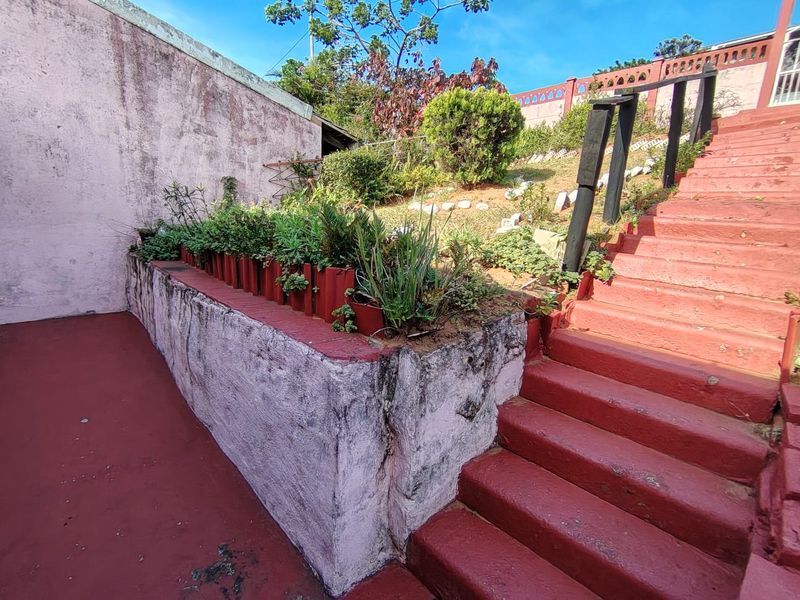 Outdoor garden area featuring a concrete staircase with handrail and a raised masonry planter box showing signs of wear.