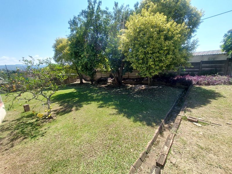 A spacious backyard garden featuring a well-established lawn, mature trees, and a precast concrete boundary wall with brick edging.