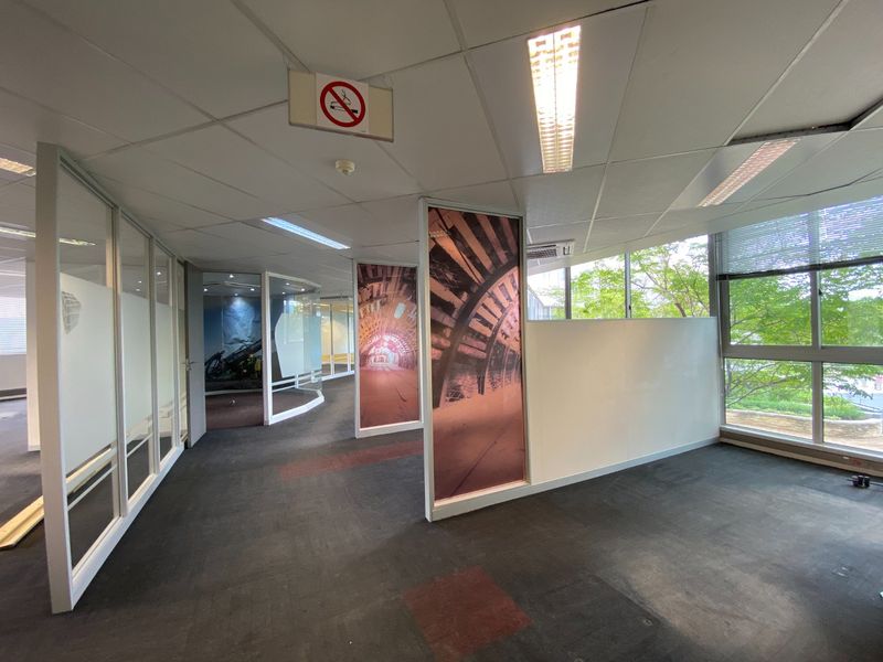 Open plan commercial office space featuring glass partitions, large windows with natural light, suspended ceilings, and carpeted flooring.