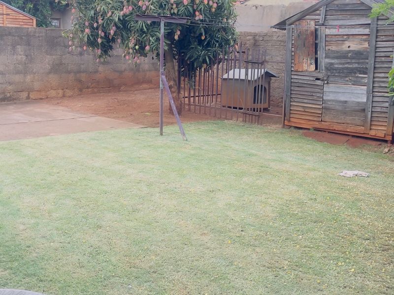 A backyard garden featuring a lawn, a mature mango tree, and a wooden storage shed enclosed by a perimeter wall.