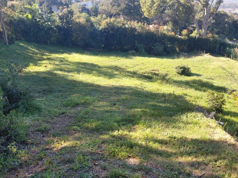 A sloped residential land parcel featuring established trees and natural greenery, offering a quiet and private setting for potential development.
