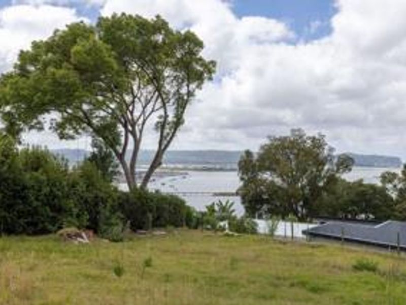 A scenic view overlooking a coastal landscape with mature trees and distant water, showcasing the natural beauty of the vacant residential land.