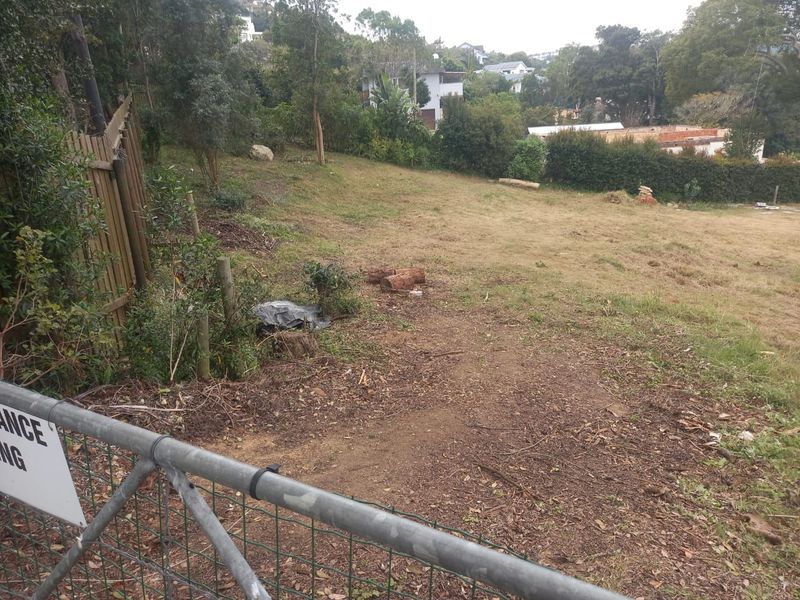 A view of a sloped, undeveloped residential plot featuring established trees, perimeter fencing, and natural vegetation.