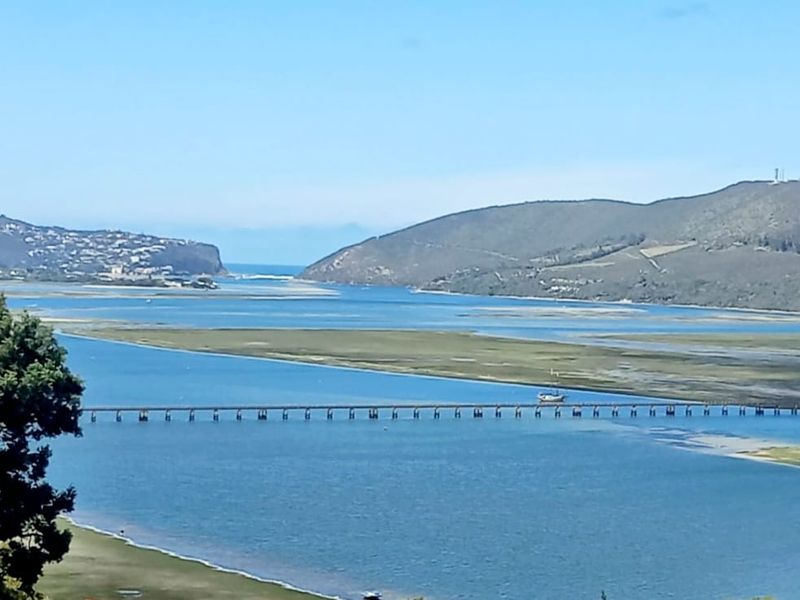 A scenic elevated view overlooking the estuary, bridge, and surrounding hills, showcasing the natural landscape and coastal environment.