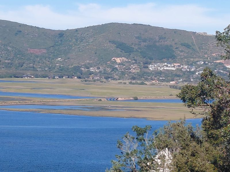 A scenic landscape view overlooking a large body of water with wetlands and distant hills in the background.