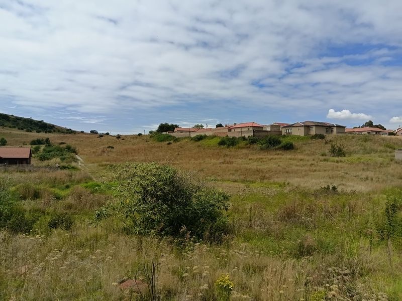 Vacant Land Zakariyya Park - Photo 10