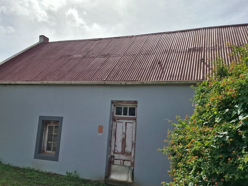 Rear elevation of a cottage featuring a corrugated metal roof, painted masonry walls, and a weathered timber entrance door.