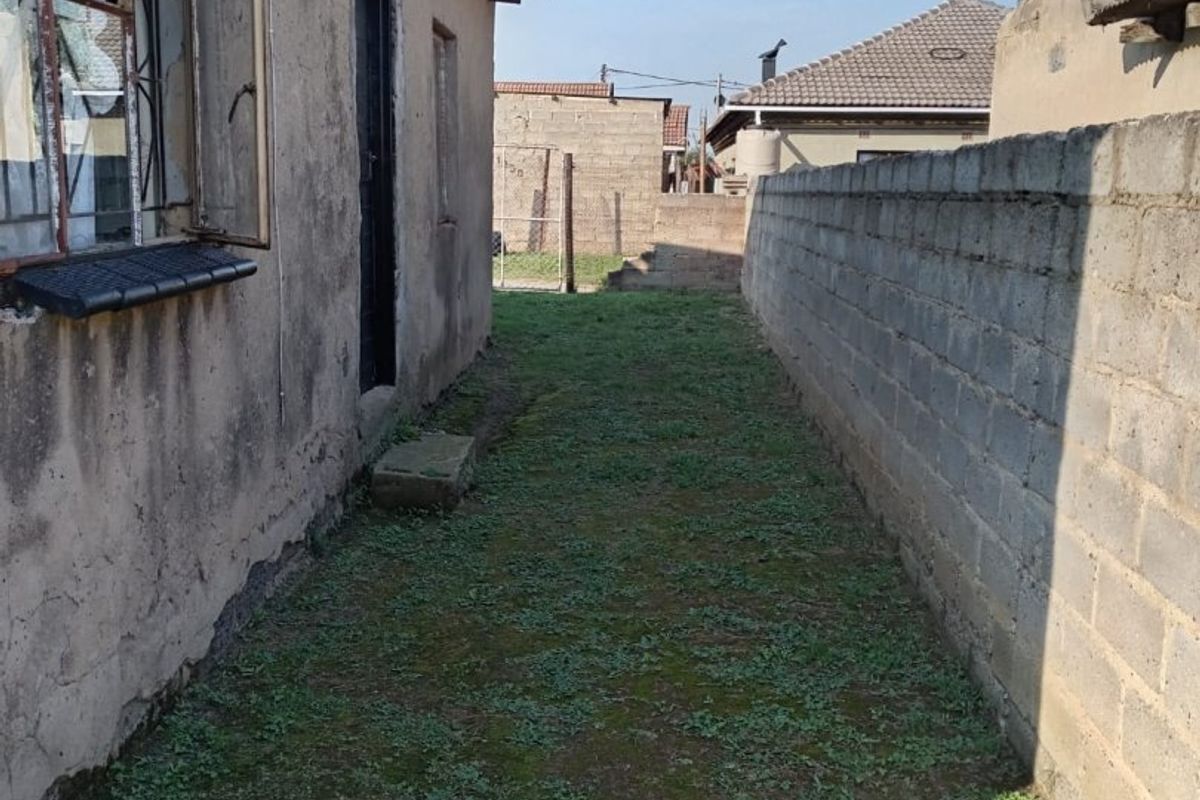 A narrow side yard area featuring a concrete block boundary wall and a weathered exterior building facade with a rusted satellite dish.