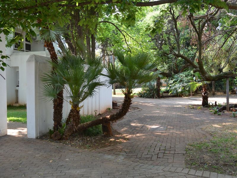A shaded garden area featuring a paved walkway, mature trees, and established palm landscaping alongside a white boundary wall.