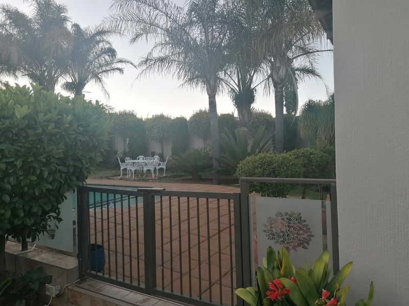 A well-maintained outdoor pool area featuring a paved patio, glass balustrade, and metal safety gate, surrounded by established palm trees and garden landscaping.