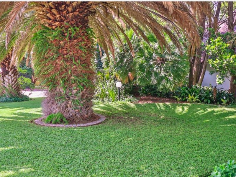 A well-maintained garden area featuring mature palm trees, lush green lawn, and established landscaping with integrated garden lighting.