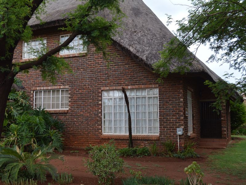 A traditional face brick house featuring a classic thatched roof and steel-framed windows, set within a mature garden environment.