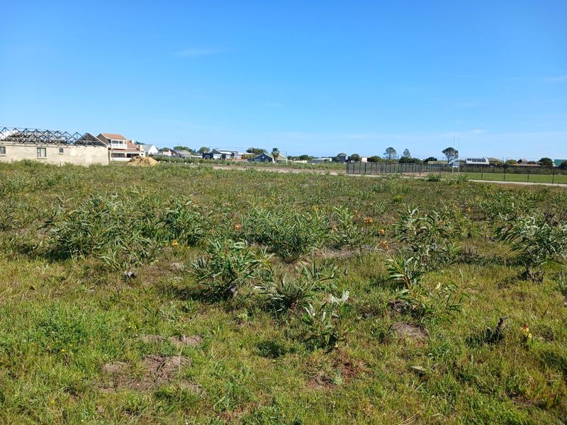 A view of a vacant residential plot of land with natural vegetation and surrounding neighborhood infrastructure visible in the distance.