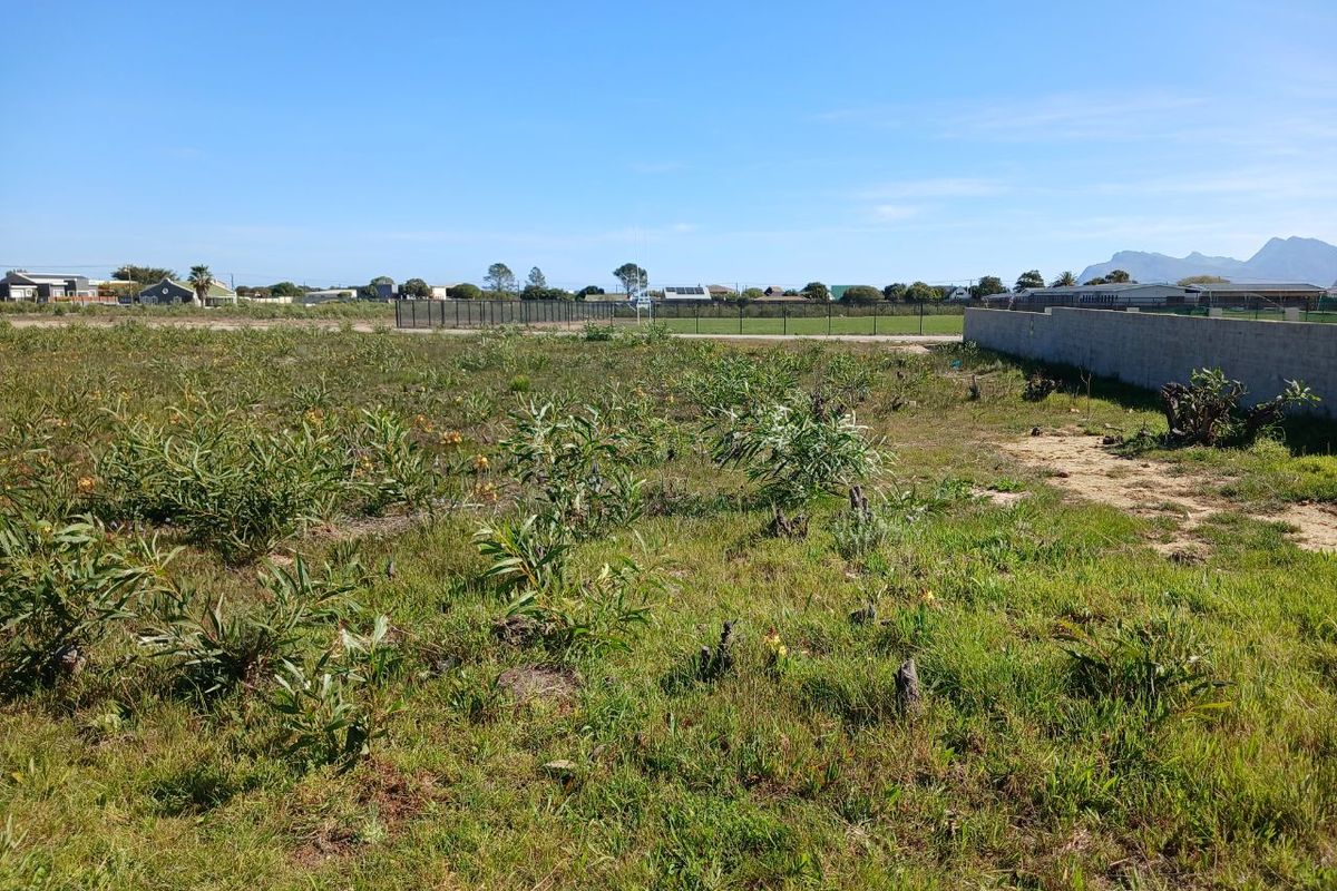 A vacant residential plot featuring natural vegetation, a perimeter boundary wall, and surrounding neighborhood views.