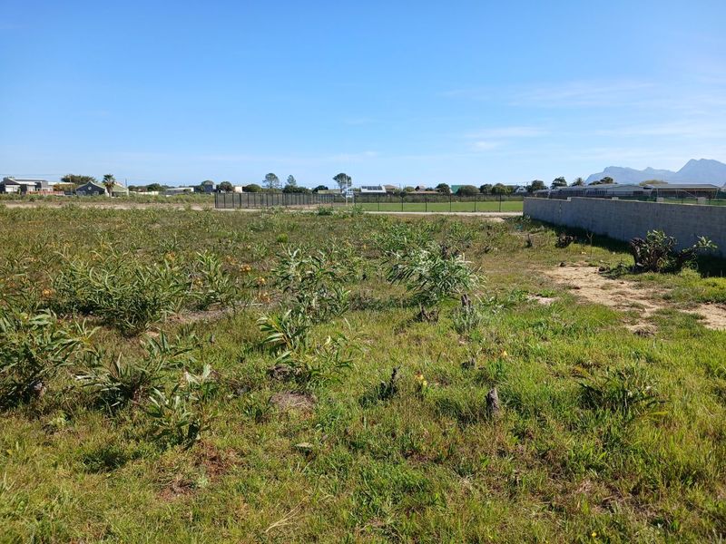 A vacant residential plot featuring natural vegetation, a perimeter boundary wall, and surrounding neighborhood views.