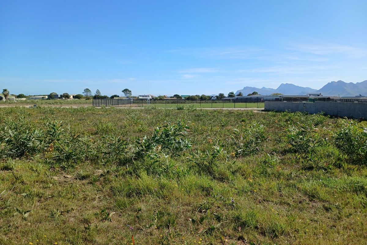 A vacant residential plot featuring natural vegetation, enclosed by a perimeter boundary wall and fencing, offering clear views of the surrounding landscape.