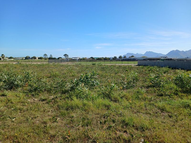 A vacant residential plot featuring natural vegetation, enclosed by a perimeter boundary wall and fencing, offering clear views of the surrounding landscape.
