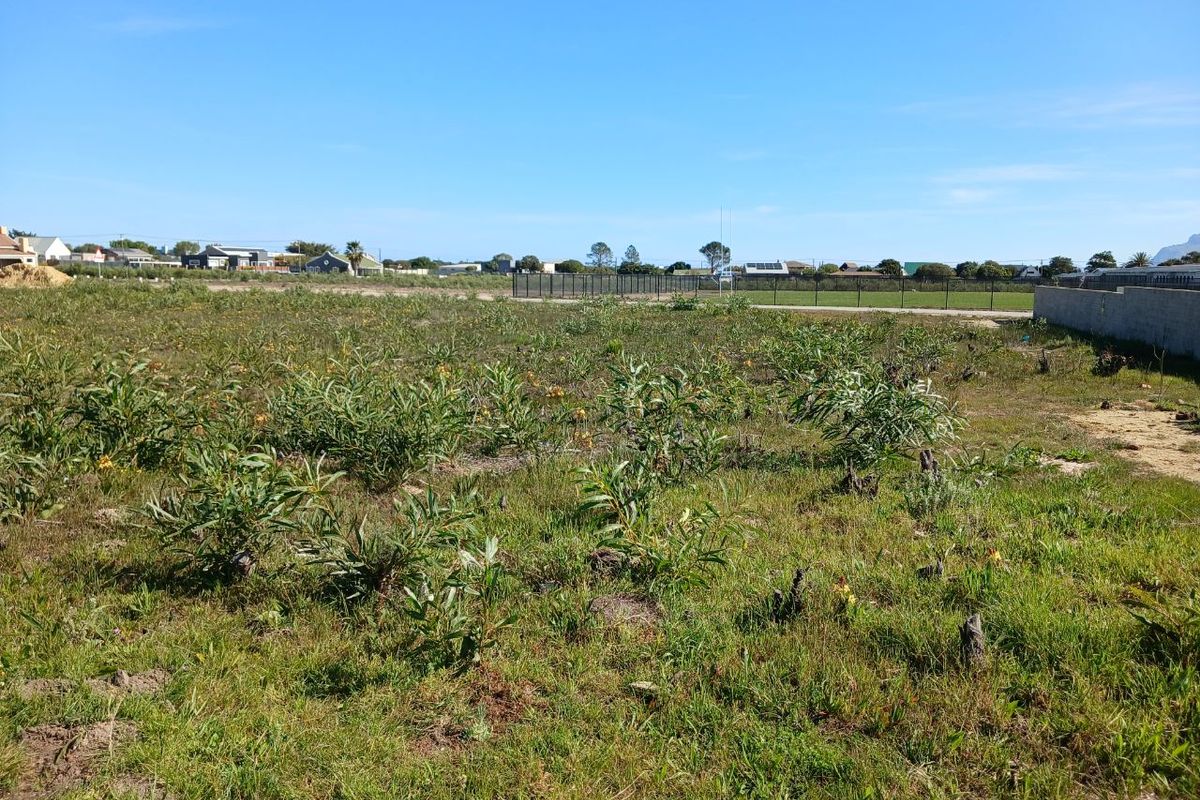 A vacant residential plot featuring natural vegetation, perimeter fencing, and a boundary wall, offering a clear space for future development.