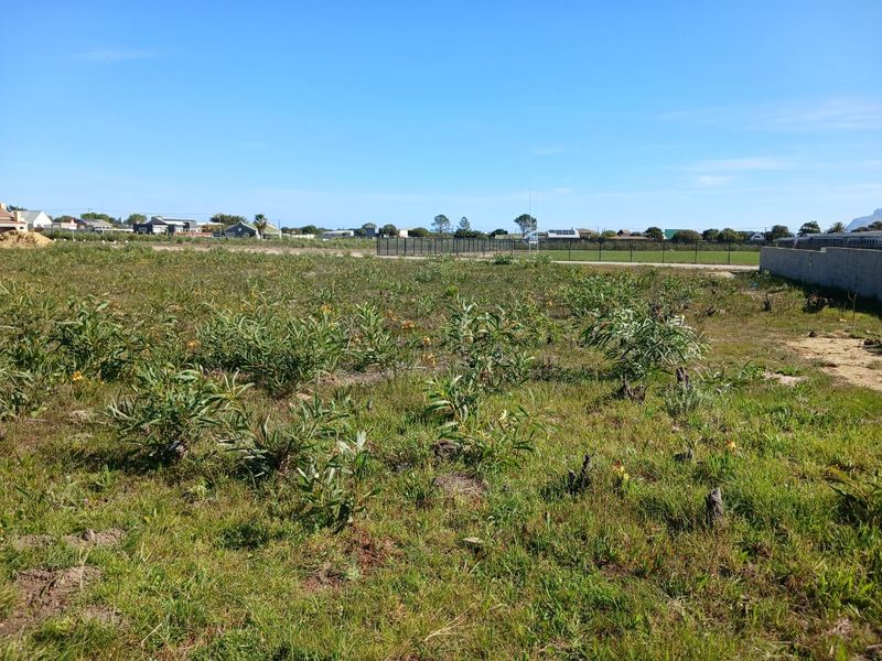 A vacant residential plot featuring natural vegetation, perimeter fencing, and a boundary wall, offering a clear space for future development.