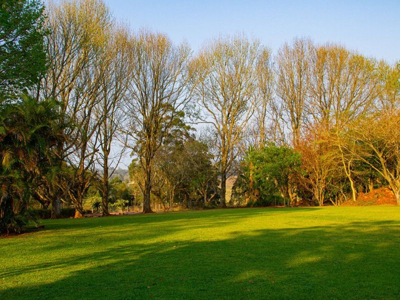 A well-maintained, expansive green lawn surrounded by mature trees, providing a serene and open outdoor space.