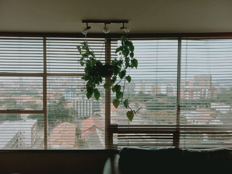 A view of the surrounding cityscape captured through large windows fitted with horizontal venetian blinds and overhead track lighting.