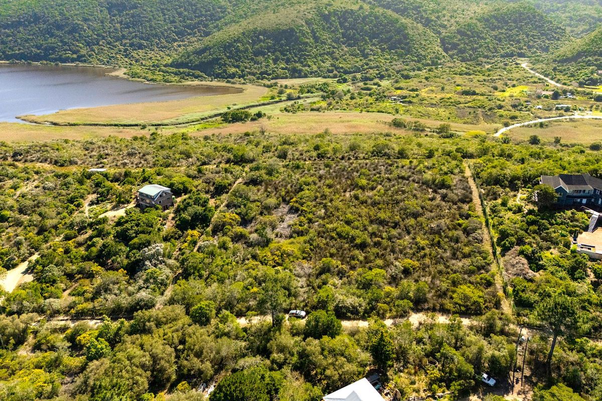 Aerial view of a large, undeveloped residential plot featuring natural vegetation and surrounding landscape views.
