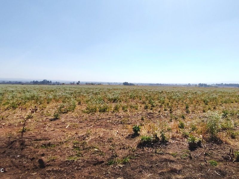 A wide, open expanse of vacant residential land featuring natural ground cover and clear horizon views.