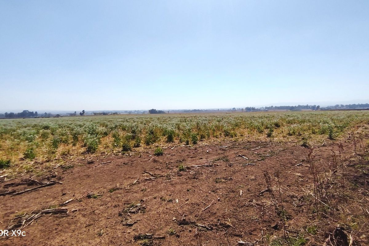 A wide-angle view of a vacant residential land plot featuring open fields and perimeter wire fencing under a clear sky.