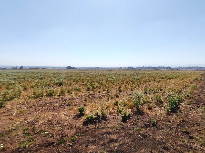A wide-angle view of a vacant residential plot featuring natural vegetation and perimeter wire fencing under a clear sky.