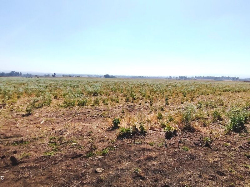 A wide-angle view of a vacant residential land plot featuring open, undeveloped terrain under a clear sky.