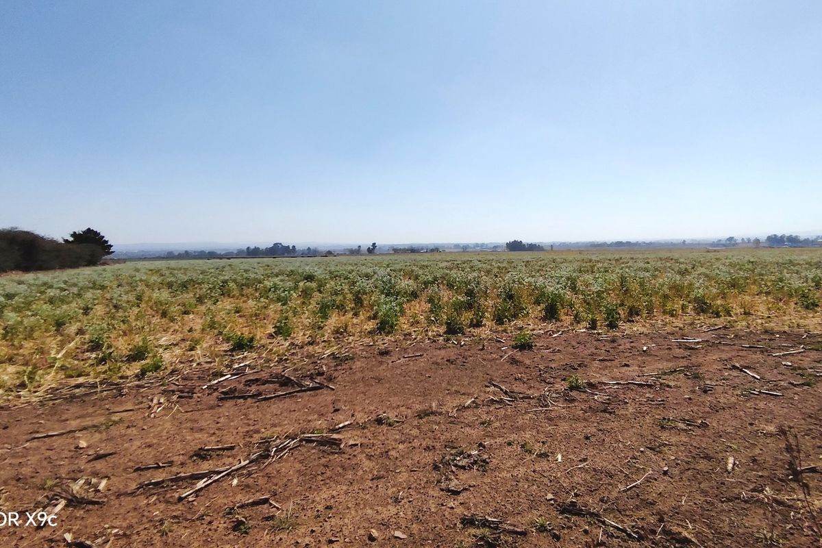 A wide-angle view of a large, flat, undeveloped residential land plot with natural vegetation and open horizon.
