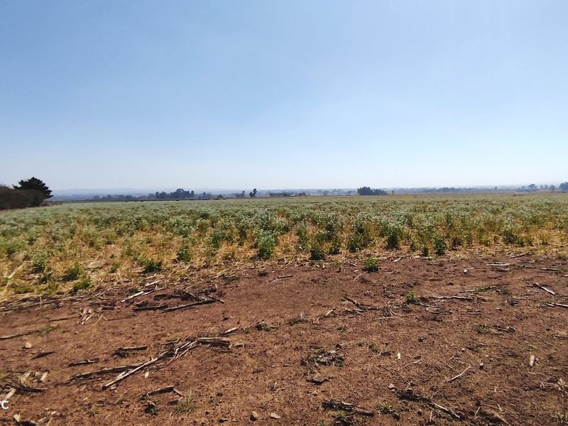 A wide-angle view of a large, flat, undeveloped residential land plot with natural vegetation and open horizon.