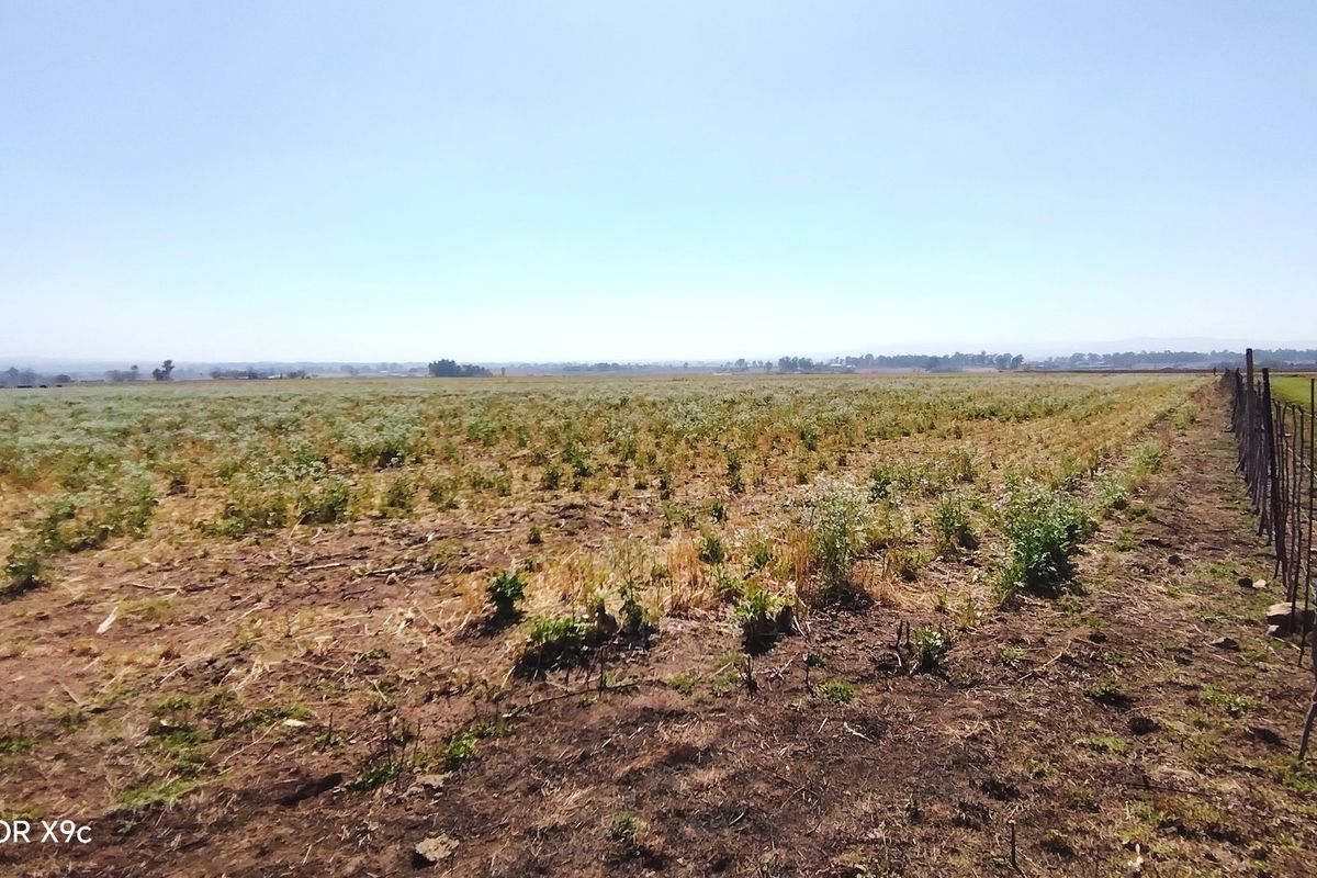 A wide-angle view of a vacant residential plot featuring natural vegetation and a perimeter wire fence.