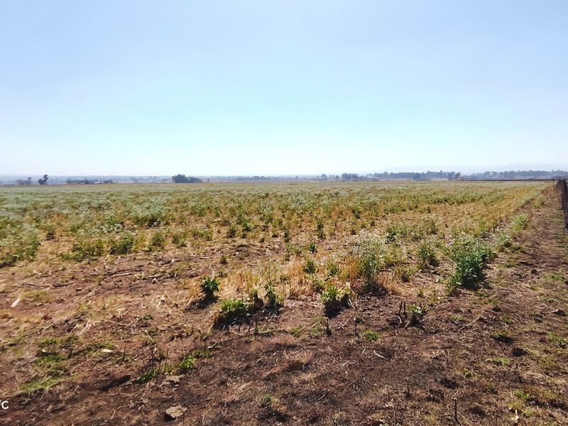 A wide-angle view of a vacant residential plot featuring natural vegetation and a perimeter wire fence.