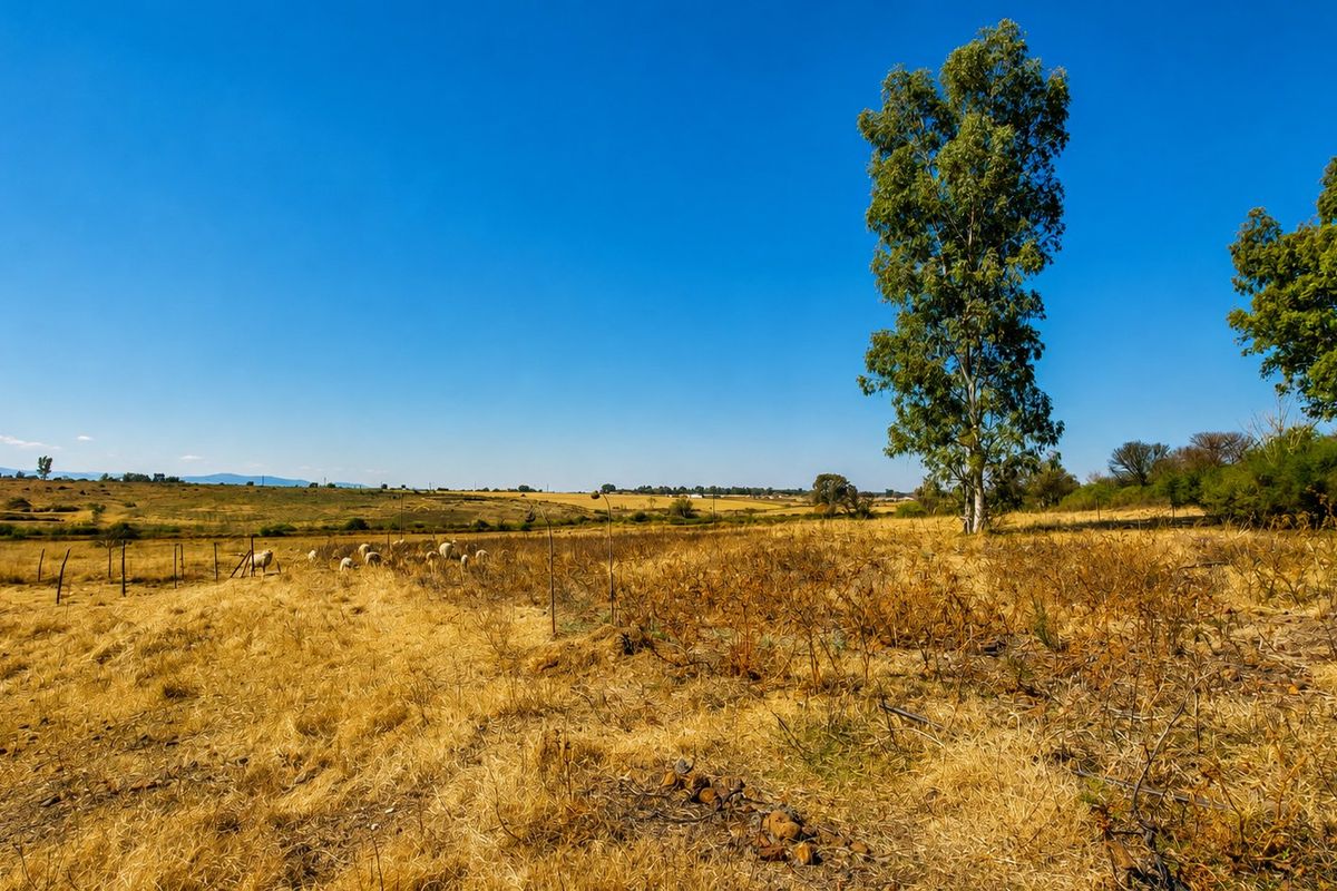 Expansive open farmland view featuring dry grass, mature trees, and perimeter wire fencing under a clear blue sky.
