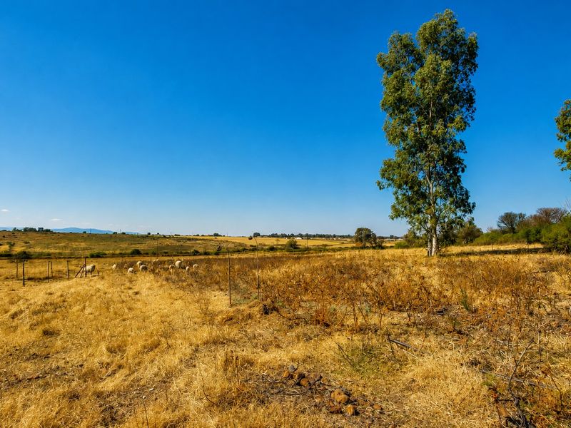 Expansive open farmland view featuring dry grass, mature trees, and perimeter wire fencing under a clear blue sky.