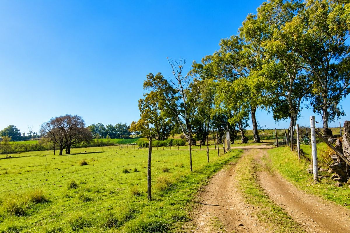 A scenic view of a farm property featuring a dirt access track, wire fencing, and established trees across open pasture land.
